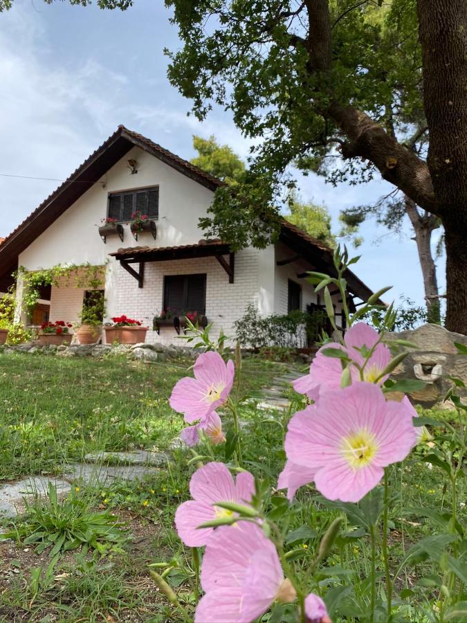 Wild Oaks Cottage Kriopigi Zewnętrze zdjęcie